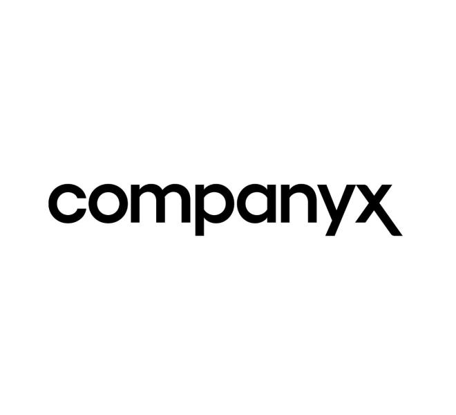 Company x